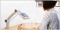 Brat fixare Ease Arm 5 (pentru lupa video ZOOMAX Snow 7HD sau 7HD Plus)