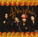 Bigger, Better, Faster, More! | 4 Non Blondes, Pop