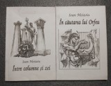 Ioan Meiţoiu - &Icirc;ntre columne şi zei + &Icirc;n căutarea lui Orfeu (coperți Chirnoagă)