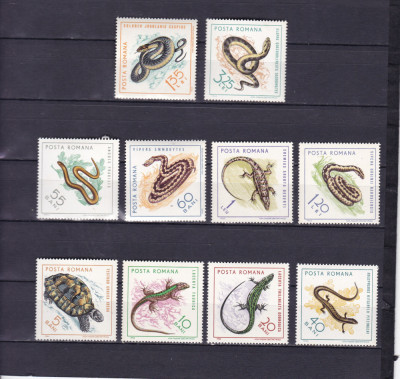 ROMANIA 1965 LP 601 REPTILE SERIE MNH foto