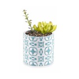 Cumpara ieftin Planta suculenta artificiala in ghiveci ceramica albastra alba &Oslash; 11 cm x 19 H