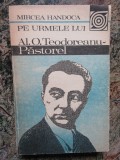 PE URMELE LUI AL. O. TEODOREANU - PASTOREL-MIRCEA HANDOCA