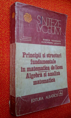 Principii si structuri fundamentale in matematica de liceu Algebra si analiza foto