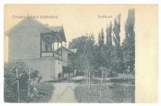 2891 - Oradea, BAILE FELIX, Romania - old postcard - used - 1907