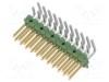 Conector TE Connectivity AMPMODU MOD II tată PIN 22 şiruri pini