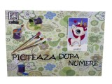 Tablou Picteaza dupa numere Ponei My Little Pony alb