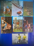 HOPCT LOT NR 481 SPORT-SPORTIVI ROMANI -RO -7 CARTI POSTALE-NECIRCULATE