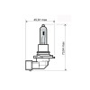 Bec Moto MBS 12V 65W HB3