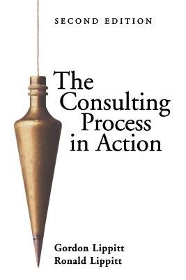 The Consulting Process in Action foto