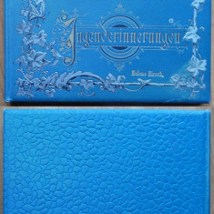 Album de lux al lui Helene Hirsch din Bucuresti , 1892