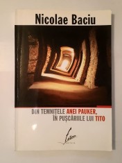 Nicolae Baciu - Din temnițele Anei Pauker, &amp;icirc;n pușcăriile lui Tito foto