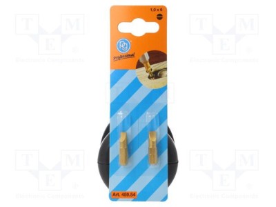 Capăt de şurubelniţă plată 6,0x1,0mm PG PROFESSIONAL - 2 buc. foto