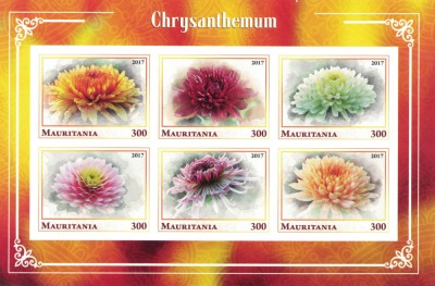 MAURITANIA 2017 - Flori, crizanteme / blocuri MNH (2 imagini) foto