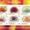 MAURITANIA 2017 - Flori, crizanteme / blocuri MNH (2 imagini)