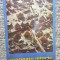 Magazin Istoric, Nr. 12 - DECEMBRIE 1976