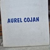 Aurel Cojan - Galeria de arta Contrapunct