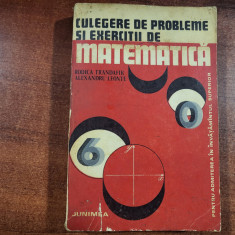 Culegere de probleme si exercitii de matematica de Rodica Trandafir,Alex Leonte