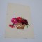 CARTE POSTALA FELICITARE MARTISOR