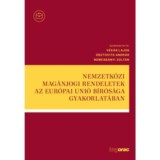 Nemzetk&ouml;zi mag&aacute;njogi rendeletek az Eur&oacute;pai Uni&oacute; B&iacute;r&oacute;s&aacute;ga gyakorlat&aacute;ban - V&eacute;k&aacute;s Lajos