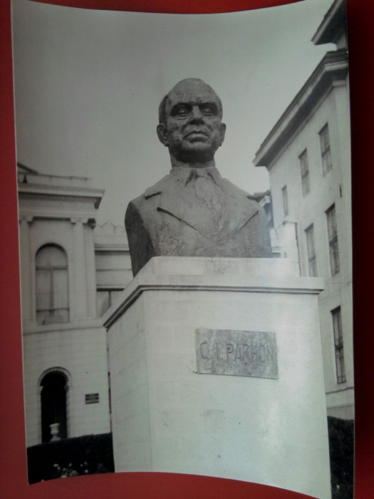 Bustul lui C. I PARHON Universitatatea de Medicina si Farmacie Iasi