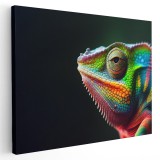 Tablou canvas cameleon detalii, roz, verde, albastru 1105 Tablou canvas pe panza CU RAMA 70x100 cm