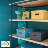 Cutie depozitare carton laminat Leitz Cosy Click &amp; Store pliabilă cu capac și