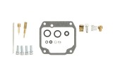 Kit reparatie carburator; pentru numarul de carburatoare 1 (pentru uz sportiv) pentru SUZUKI LT, LT-F 160 1991-2001