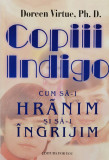 Copiii Indigo Cum Sa-i Hranim Si Sa-i Ingrijim - Doreen Virtue ,560350