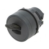 Comutator Basculant 22mm Negru 2 Pozitii