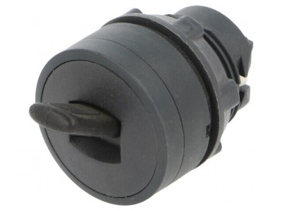 Comutator Basculant 22mm Negru 2 Pozitii foto