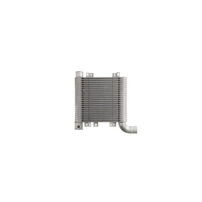 Intercooler HYUNDAI SANTA F&amp;iuml;&amp;iquest;&amp;frac12; II CM AVA Quality Cooling HY4359 foto