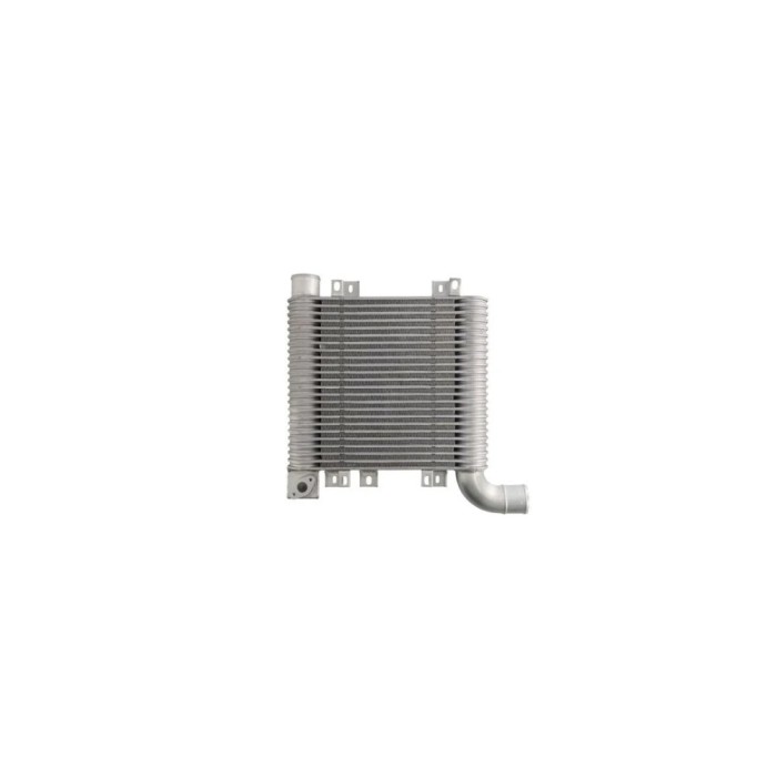 Intercooler HYUNDAI SANTA F&iuml;&iquest;&frac12; II CM AVA Quality Cooling HY4359