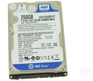 HDD laptop 250 GB SATA