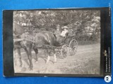 fotografie veche , distinsa doamna intr o plimbare cu sareta la mosie , anii 1920, Romania Regala