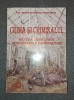 Medeanu Tiberiu Constantin - Crima si criminalul