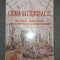 Medeanu Tiberiu Constantin - Crima si criminalul