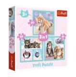 Cumpara ieftin Puzzle Trefl 3 in 1 - Pisicutele dragalase, 106 piese