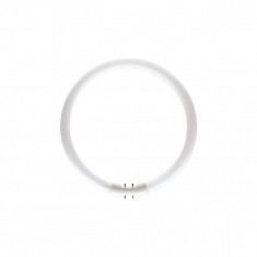Tub Fluorescent Circular TL5 22W 840 foto