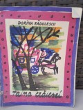 Taina craiesei - Dorina Radulescu (ilustratii Lena Constante)