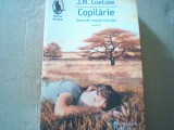 J.M. Coezee - COPILARIE / SCENE DIN VIATA PROVINCIALA ( Humanitas, 2011 ), J.M. Coetzee