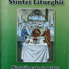 DESCOPERIREA SFINTEI LITURGHII. MINUNILE CARE SE PETREC IN TIMPUL SFINTEI LITURGHII-COLECTIV