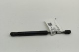 Amortizor capota st&acirc;nga față BMW X5 G05 2022 OEM: 7418188 31258601