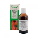 TINCTURA ECHINACEA 50ML