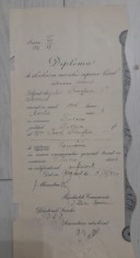 1924 Diploma Fonstein I Samuel/ Tulcea / semnata ministru / Iudaica / D1