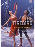 Stravinsky: The Firebird | Igor Stravinsky, Valery Gergiev, Greta Hodgkinson, Aleksandar Antonijevic, Rebekah Rimsay, Rex Harrington, Victoria Bertram, Euroarts