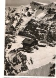 CPI B 11166 CARTE POSTALA - MUNTII BUCEGI. CABANA CARAIMAN, Circulata, Fotografie