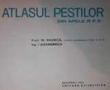 ATLASUL PESTILOR DIN APELE R . P . R .