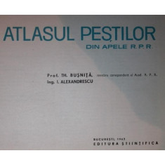 ATLASUL PESTILOR DIN APELE R . P . R .