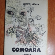 carte pentru copii - comoara - dumitru vacariu - din anul 1988