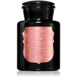 Paddywax Apothecary Noir Saffron Rose lum&acirc;nare parfumată 226 g